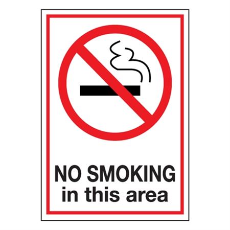 No Smoking in This Area - Decal